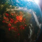 El cambio climático en el mercado de seguros